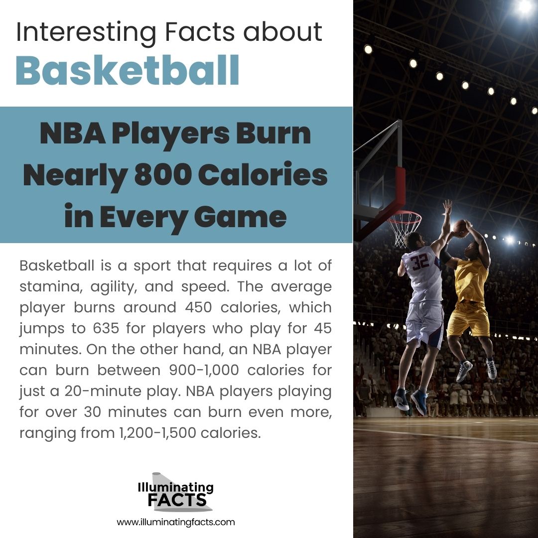 NBA Players Burn Nearly 800 Calories in Every Game