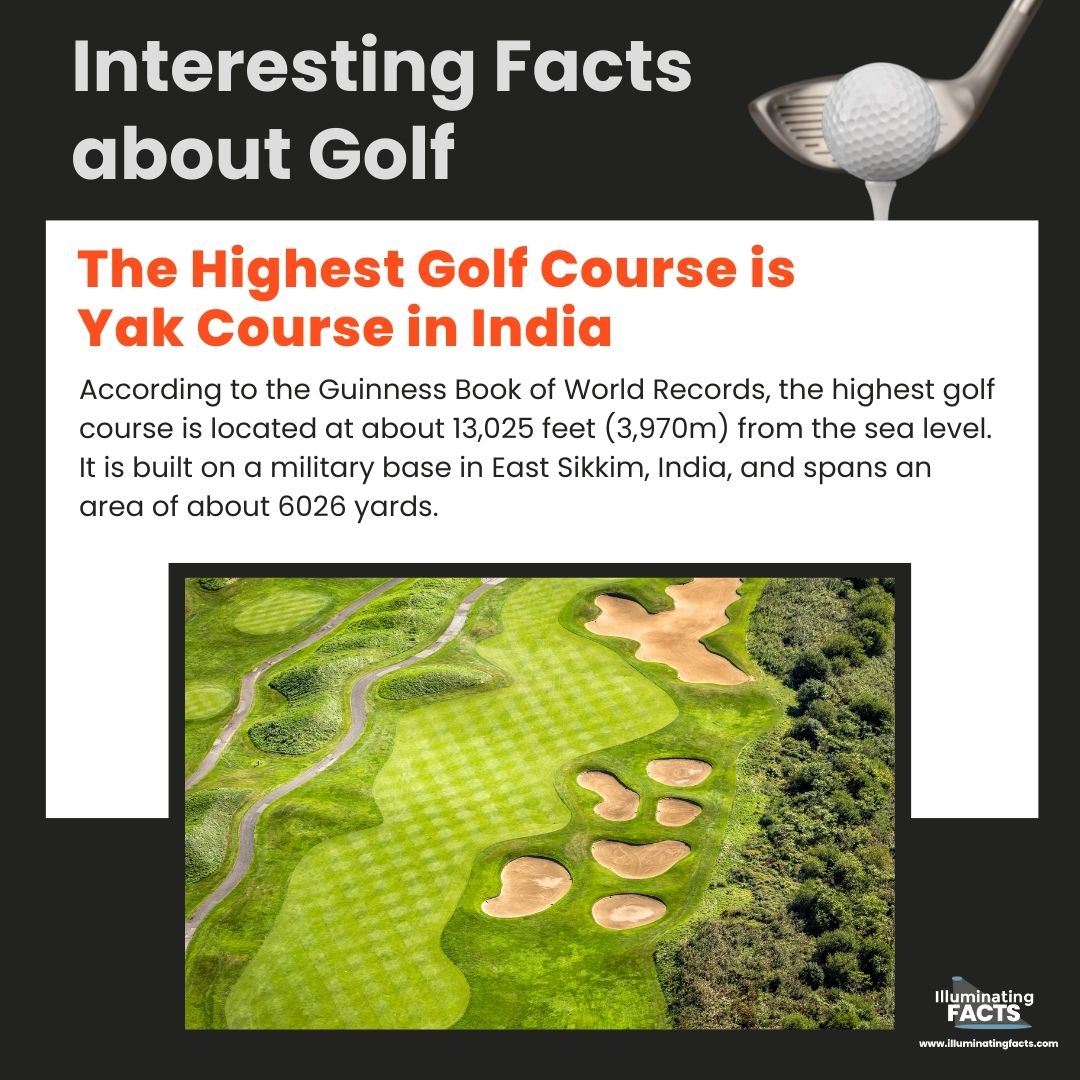 The Highest Golf Course is Yak Course in India