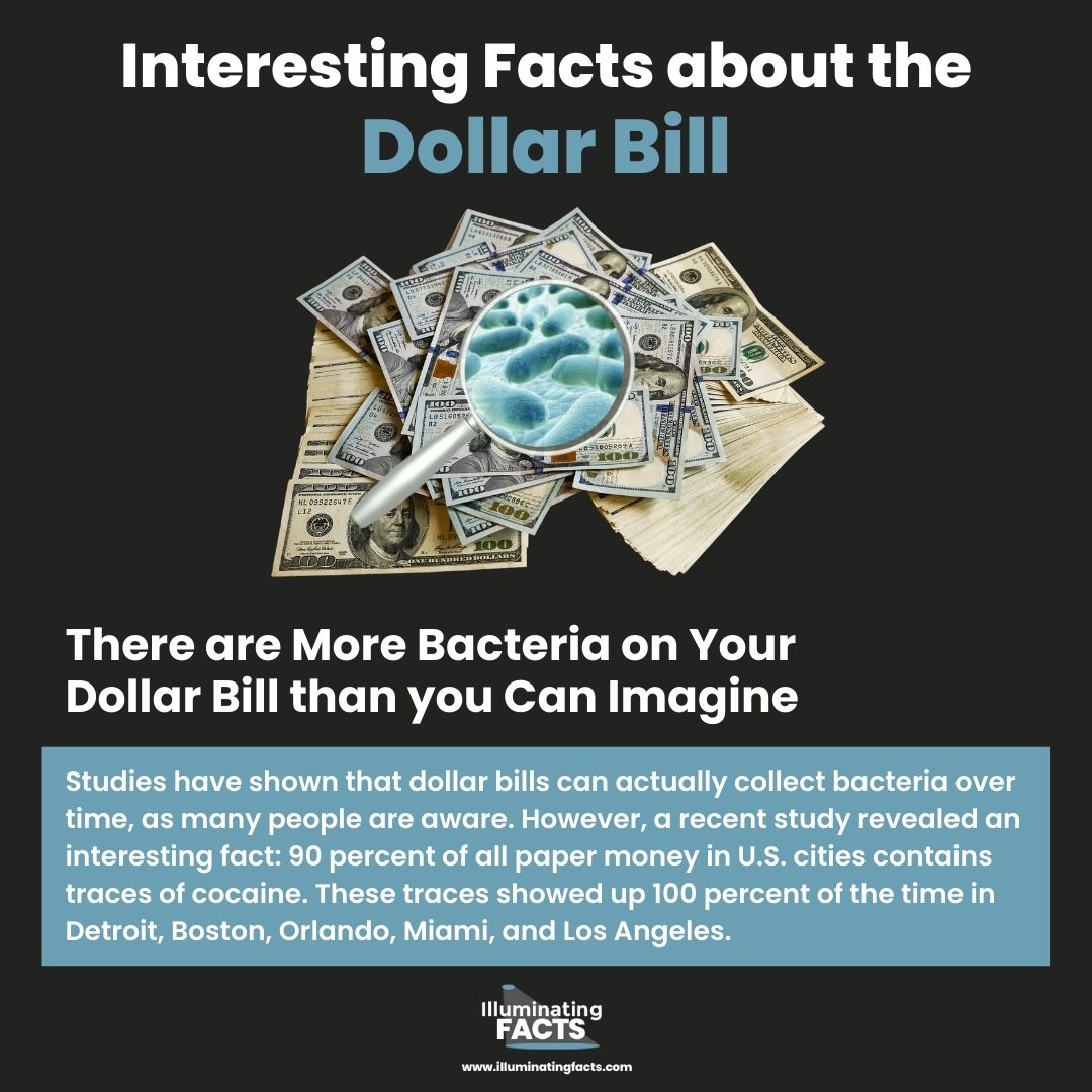 There are More Bacteria on Your Dollar Bill than you Can Imagine