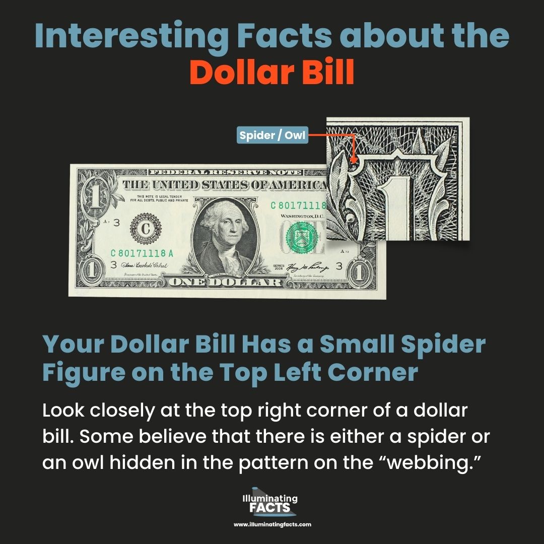 Your Dollar Bill Has a Small Spider Figure on the Top Left Corner