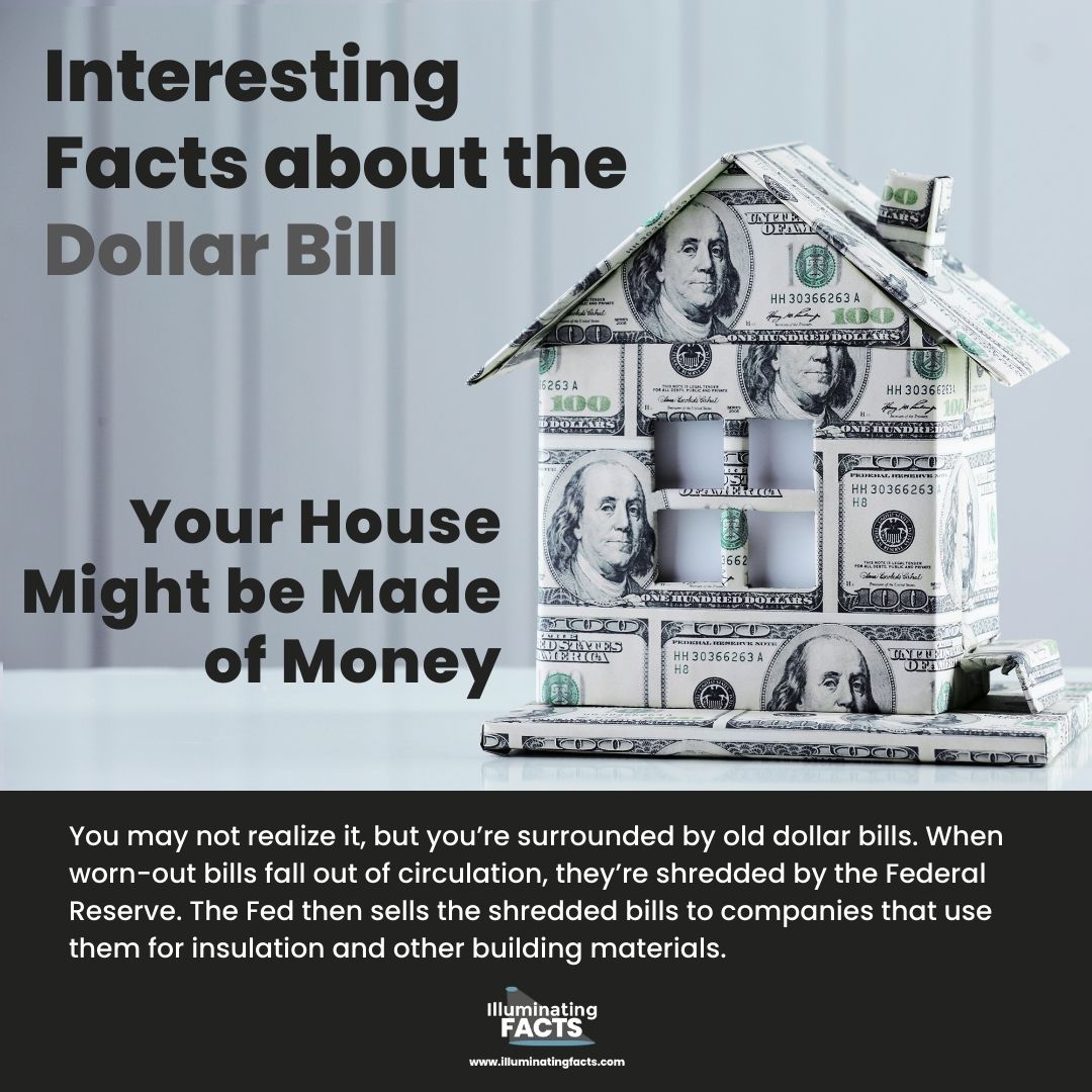 Your House Might be Made of Money
