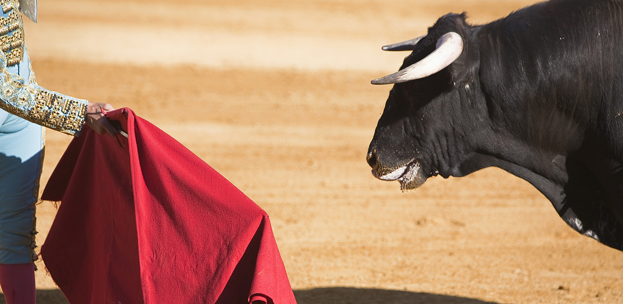 a bullfighter holding a red cloth near the bull