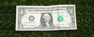 a dollar bill on the ground