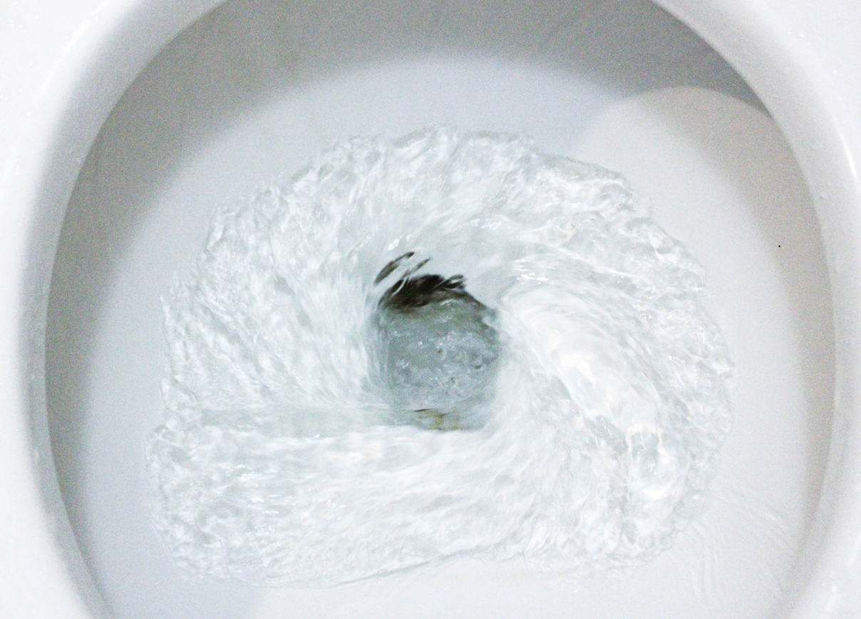 flushing toilet