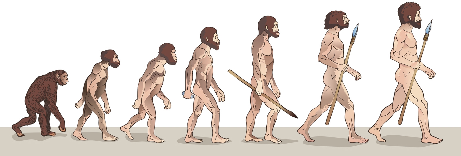 the evolution of man illustration