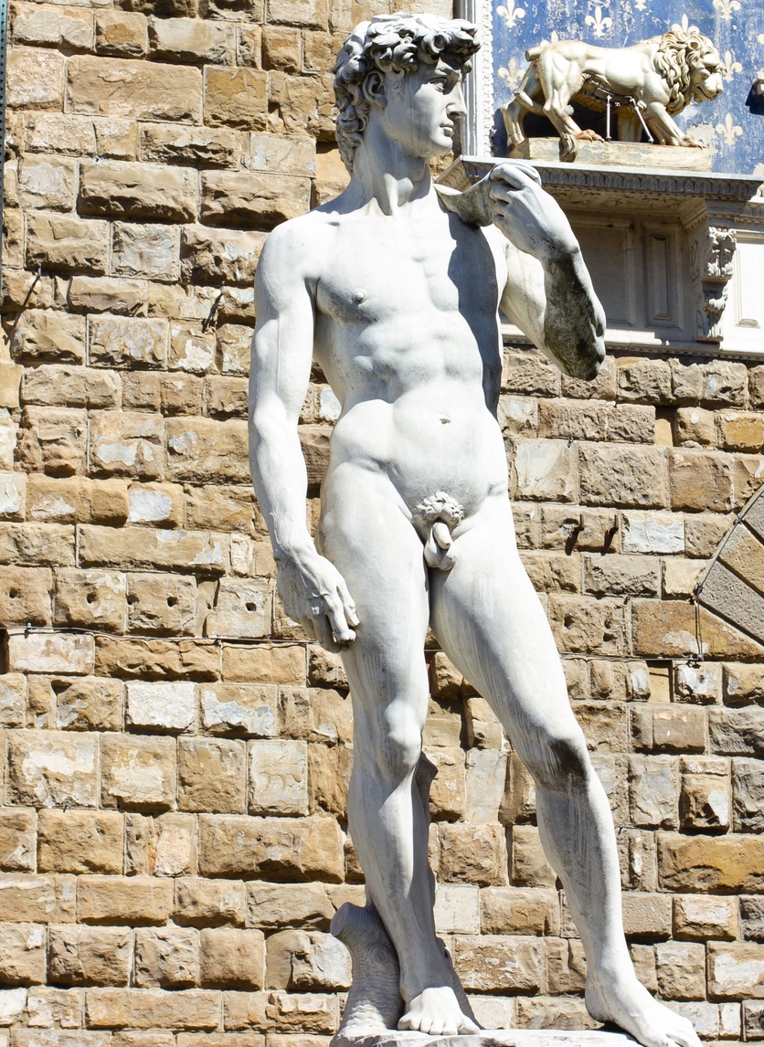 Statue of David in Florence in Italy