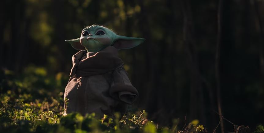 Yoda in the forest