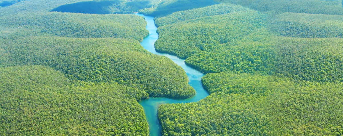 aerial view of a long river