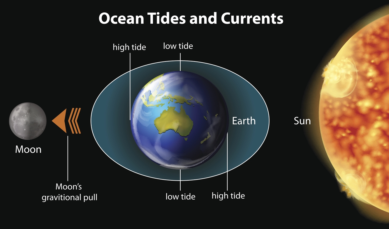 illustrating the ocean tides and currents