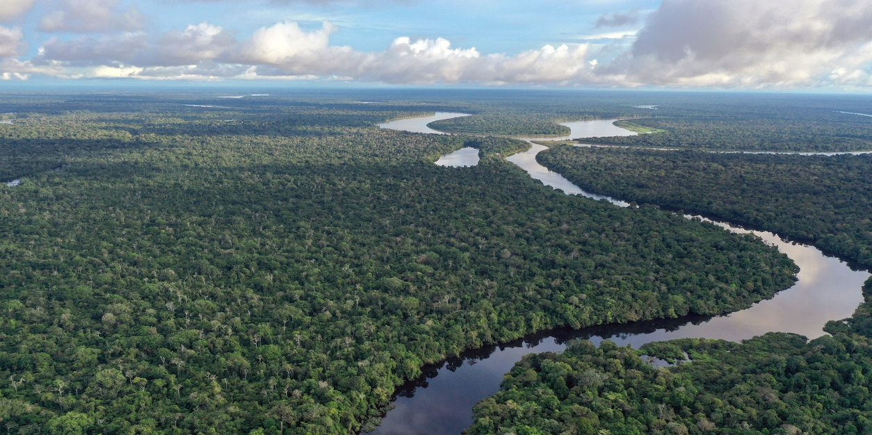 the Amazon River’s aerial view