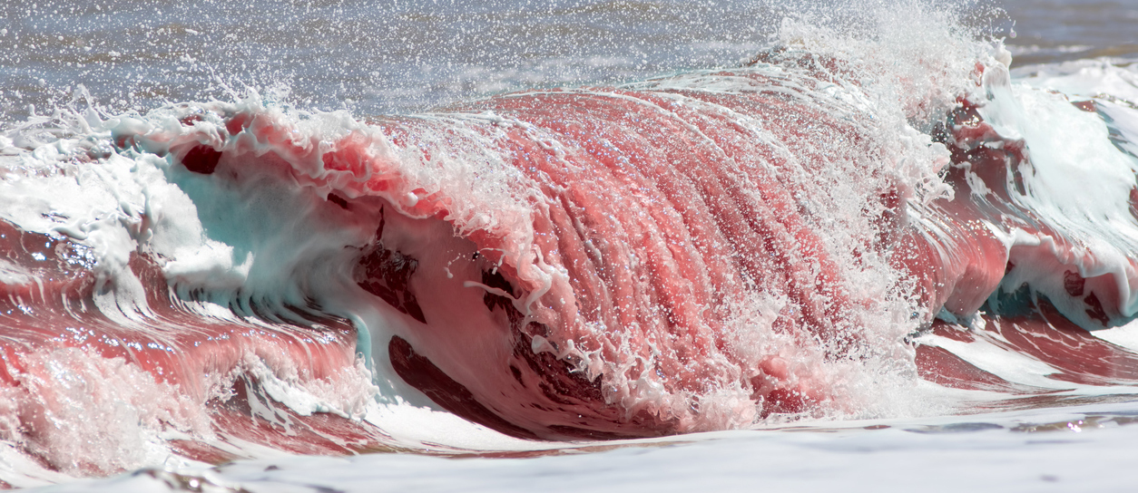 Blood red sea wave