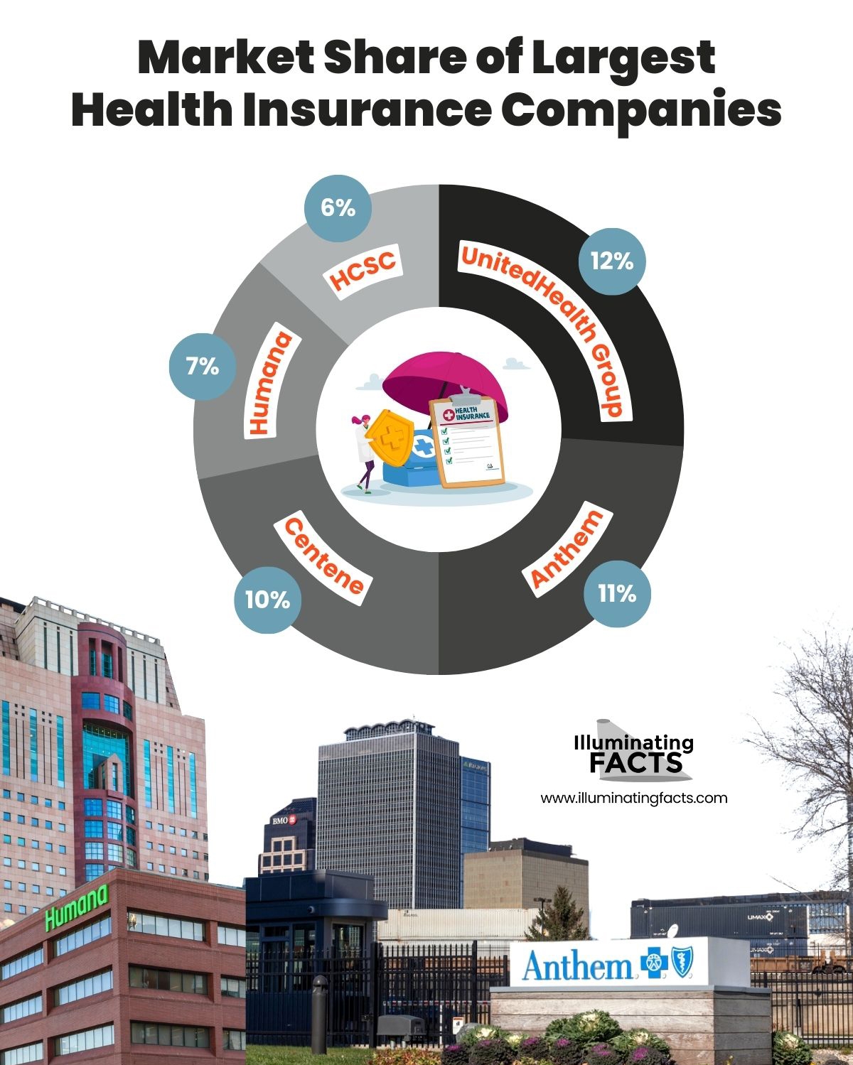 Market Share of Largest Health Insurance Companies