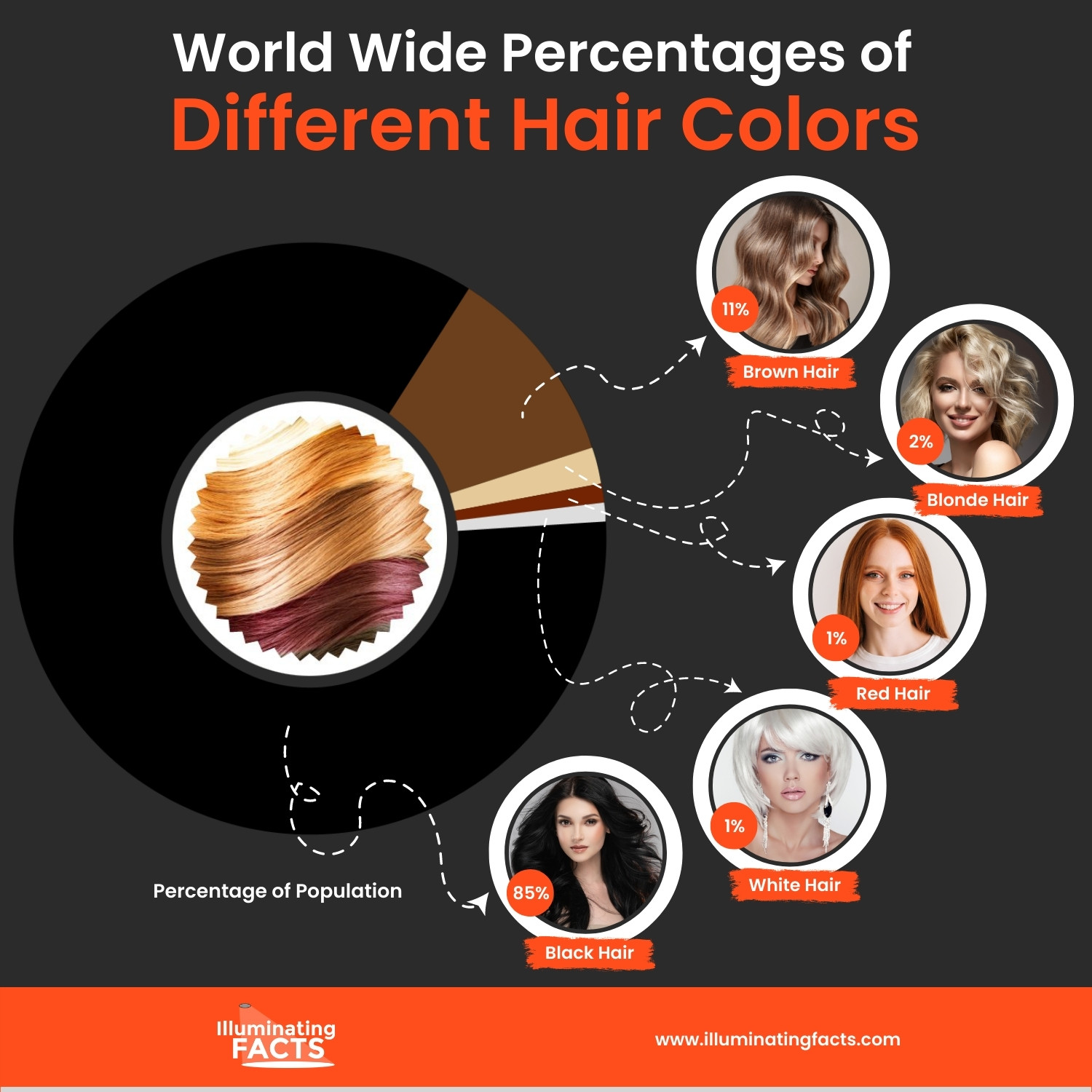 World Wide Percentages of Different Hair Colors
