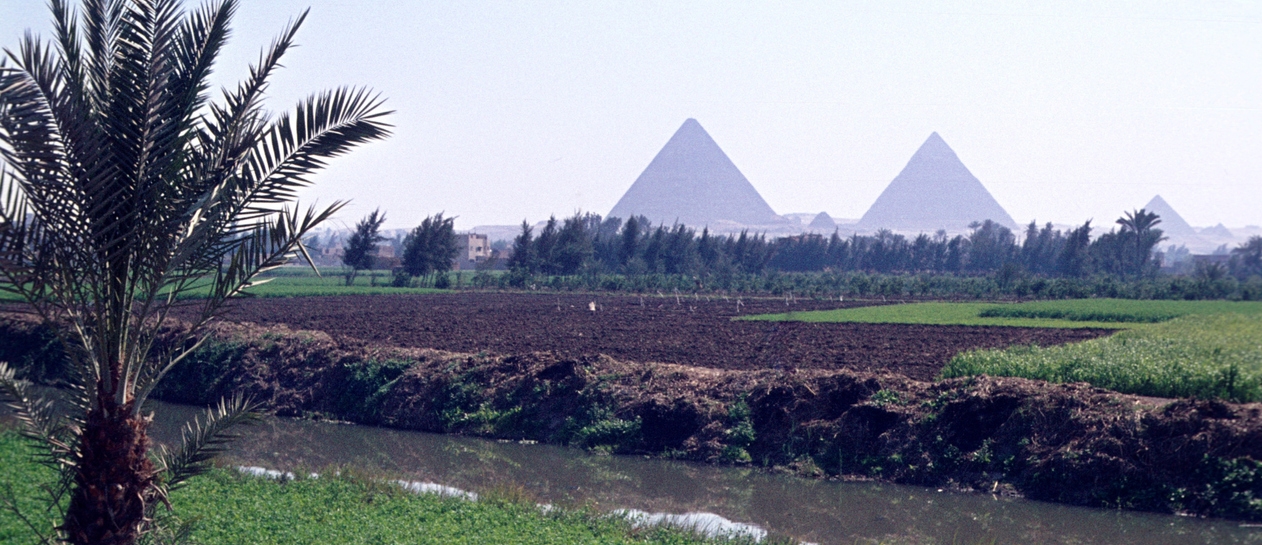 farming in Egypt