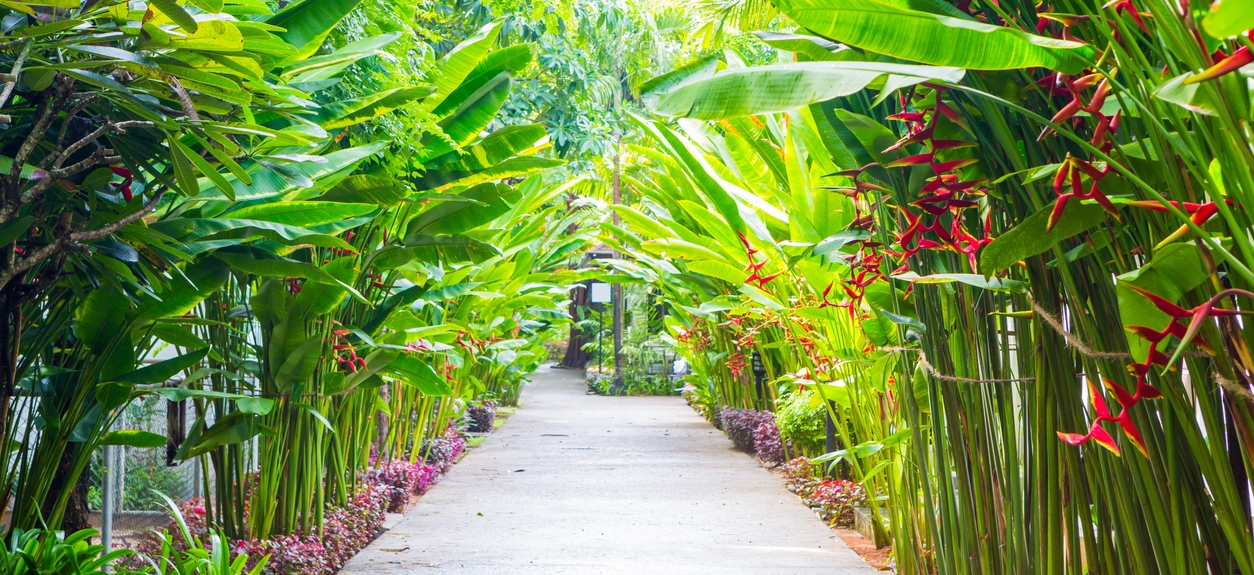 Botanic Gardens in Barbados
