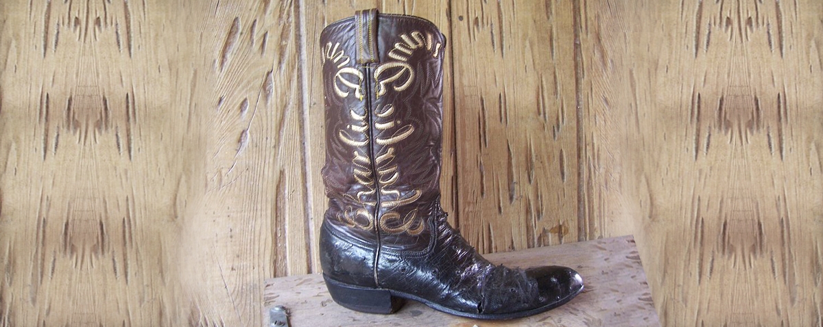 Cowboy Boot