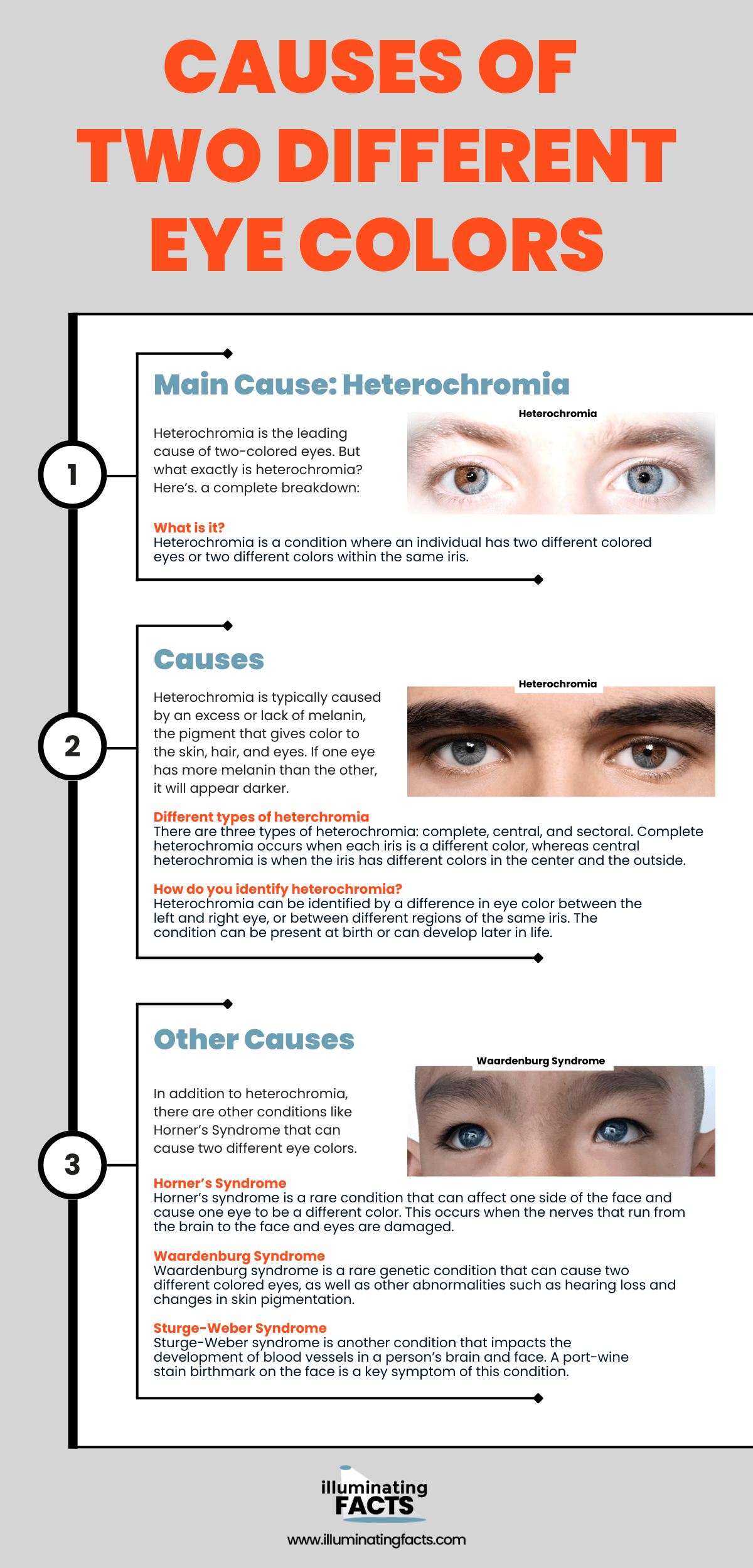 Causes of Two Different Eye Colors