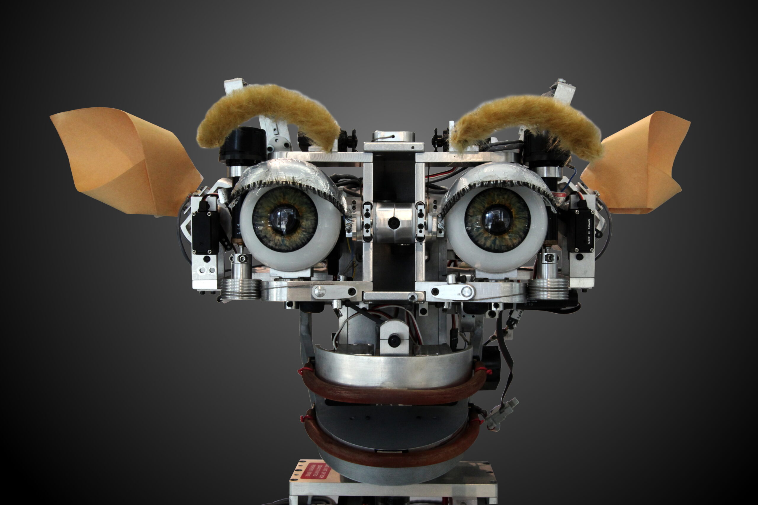 Kismet robot