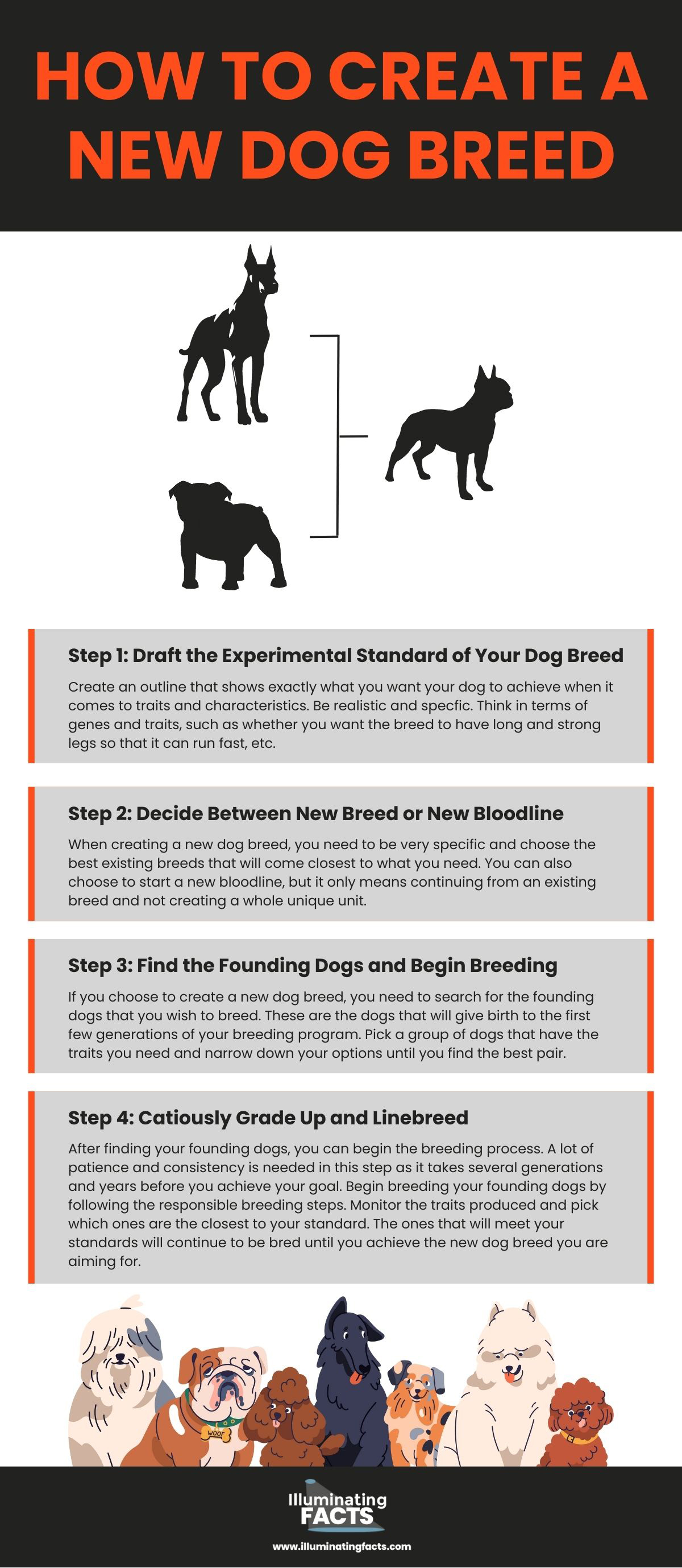 How to Create a New Dog Breed