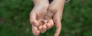a baby snail crawling on a kid’s finger