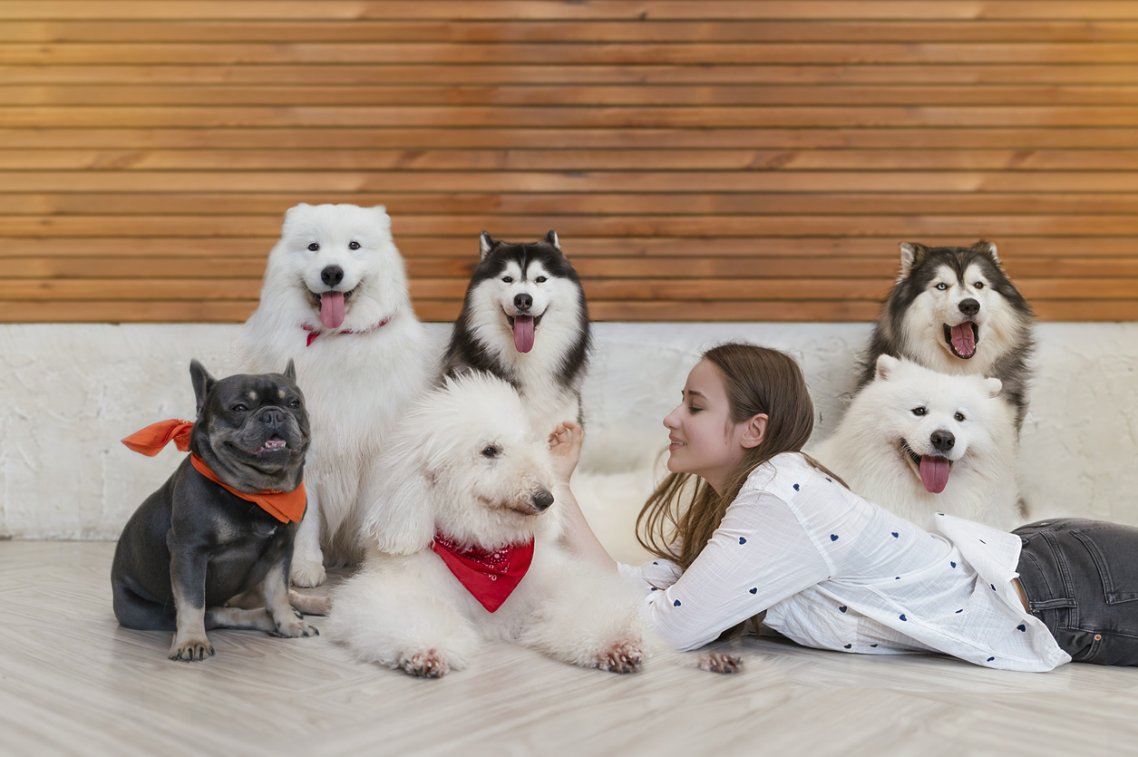 woman along with different dog breeds