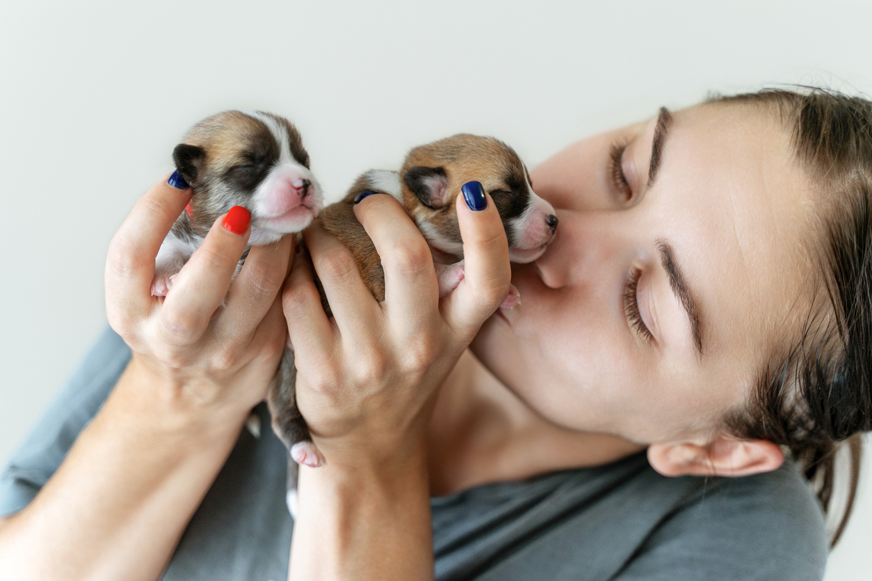 woman kissing two cute puppies