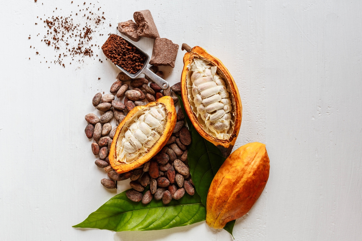 cacao pods and cocoa beans