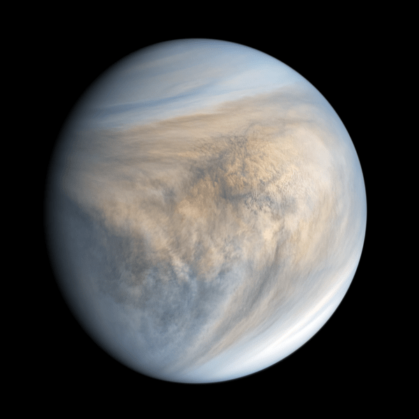 Cloud structure of the Venusian atmosphere, made visible through ultraviolet imaging