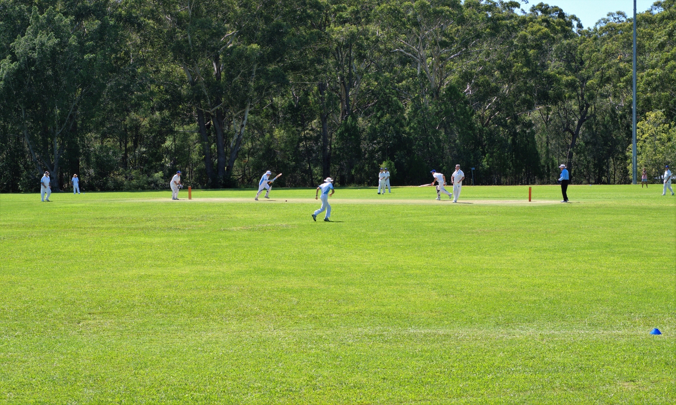 a recreational cricket match