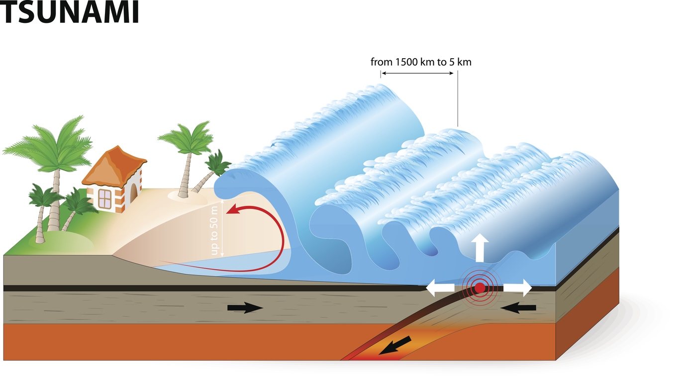 The mechanism of a tsunami