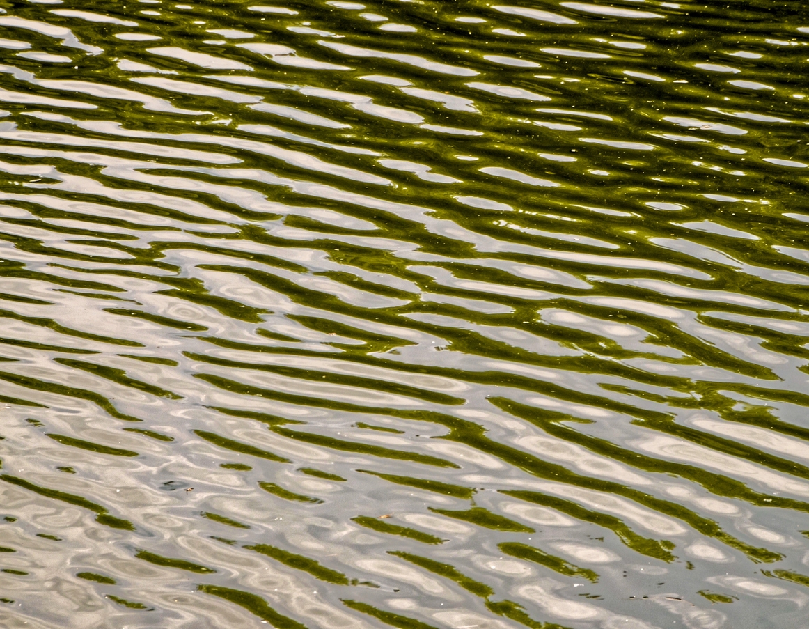 Water with ripples